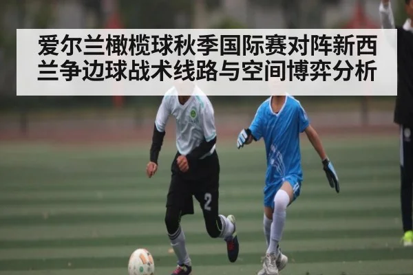爱尔兰橄榄球秋季国际赛对阵新西兰争边球战术线路与空间博弈分析