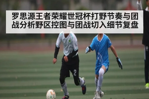 罗思源王者荣耀世冠杯打野节奏与团战分析野区控图与团战切入细节复盘
